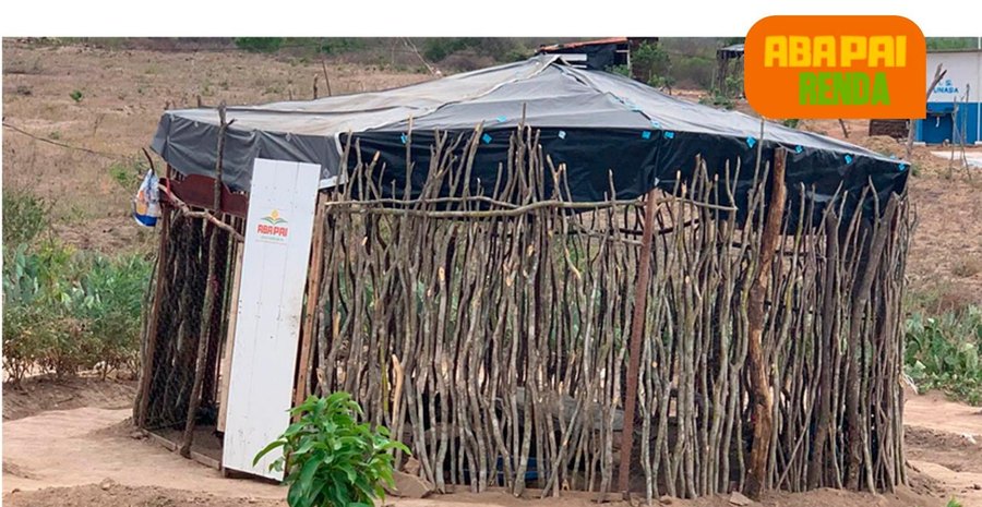 Trabalho de campo do ABA PAI Renda